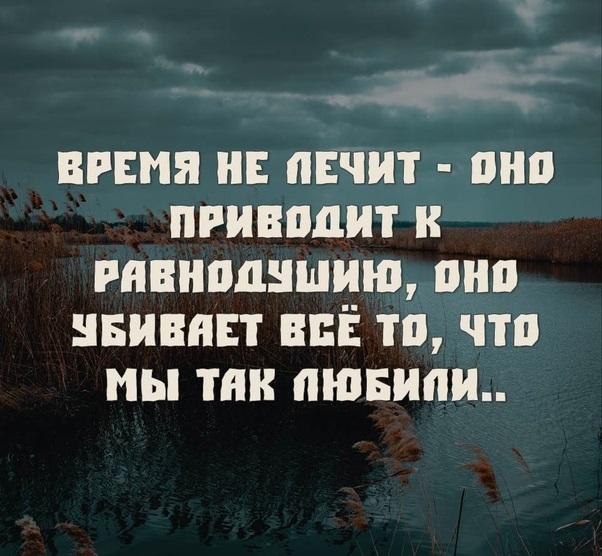 Подробнее о статье Фразы со смыслом