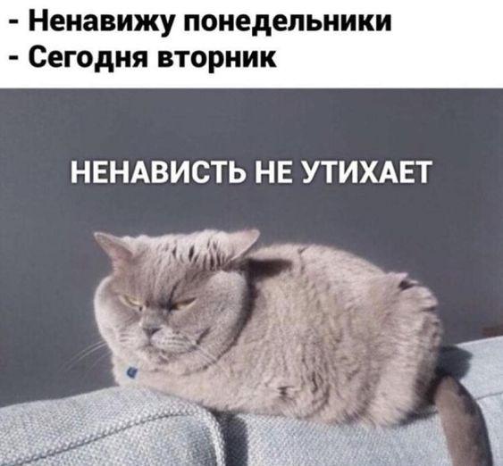 убойные картинки