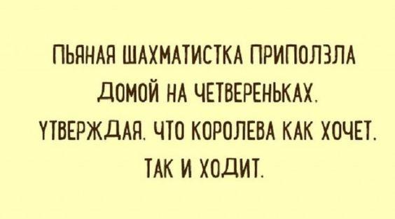 Подробнее о статье Смешные до слез шутки (среда)