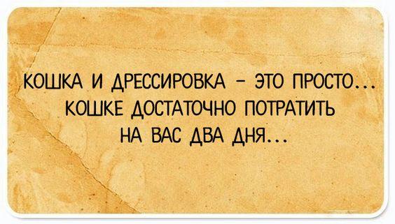 Свежие прикольные до слез картинки с шутками