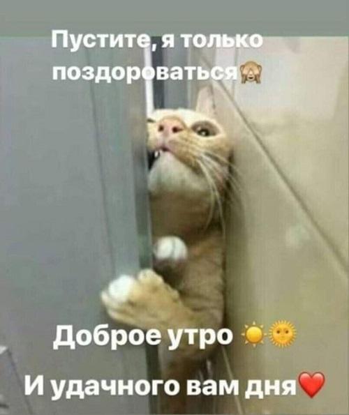 Очень смешные мемы (четверг)