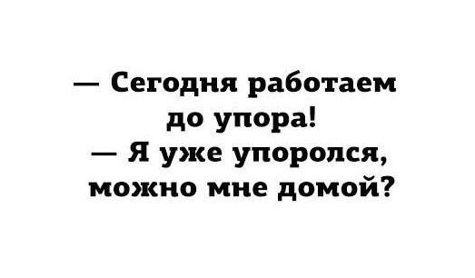 Подробнее о статье Прикольные до слез шутки (четверг)