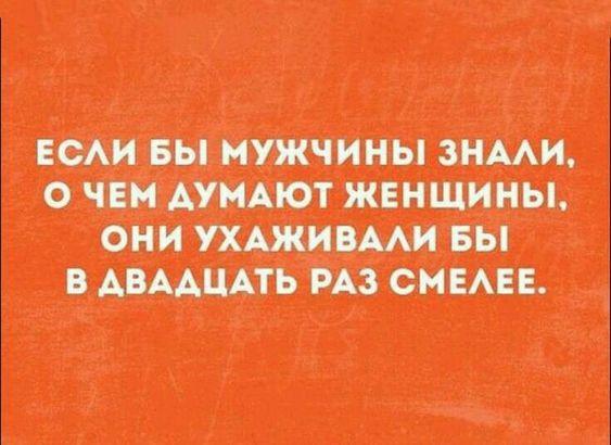 Подробнее о статье Прикольные до слез шутки (среда)