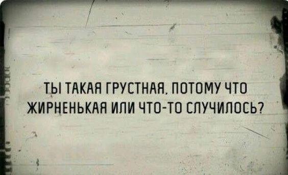 Подробнее о статье Смешные афоризмы и приколы