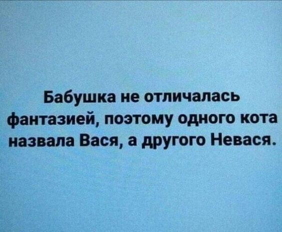 Подробнее о статье Смешные до слез шутки (воскресенье)