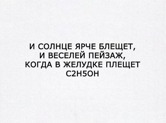 Подробнее о статье Самые смешные статусы (картинки)