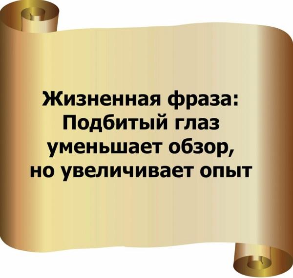 Подробнее о статье Заумные фразы с юмором