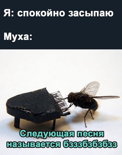 Забавные мемы (суббота)