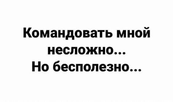 Подробнее о статье Классная подборка фраз с юмором