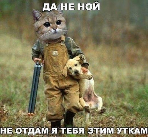 Смотреть убойные картинки