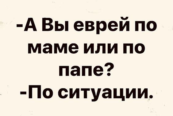 Подробнее о статье Свежие смешные до слез фразы