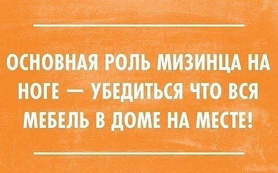 Подробнее о статье Свежие убойные фразы