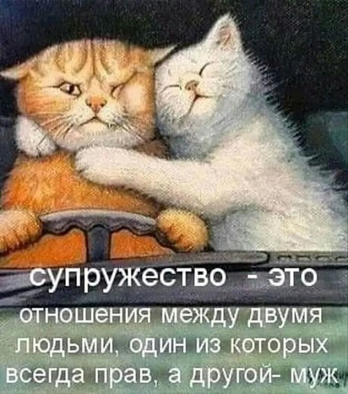 Клевые мемы (понедельник)