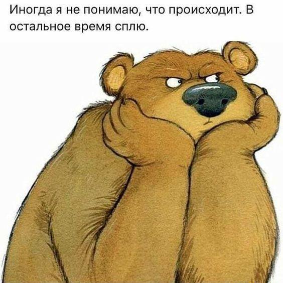 Клевые мемы (вторник)