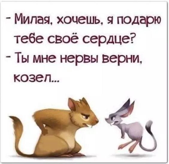 Клевые мемы (пятница)