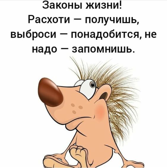 Клевые мемы (пятница)