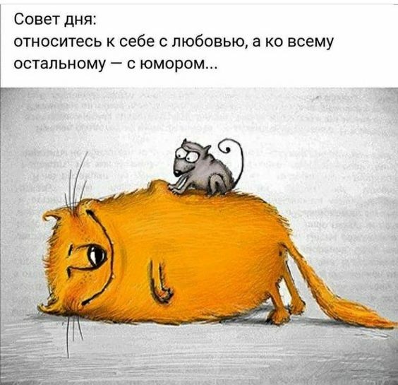 Смешные свежие картинки с надписями (воскресенье)