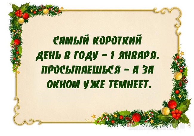 Подробнее о статье Очень смешные статусы про Новый год