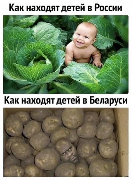 Свежие лучшие смешные картинки