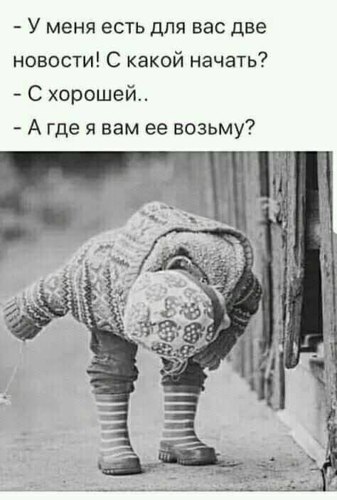 Свежие лучшие прикольные картинки