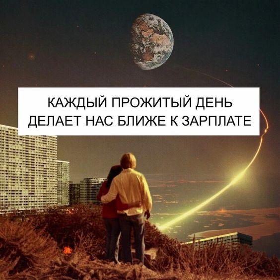 Свежие лучшие смешные картинки