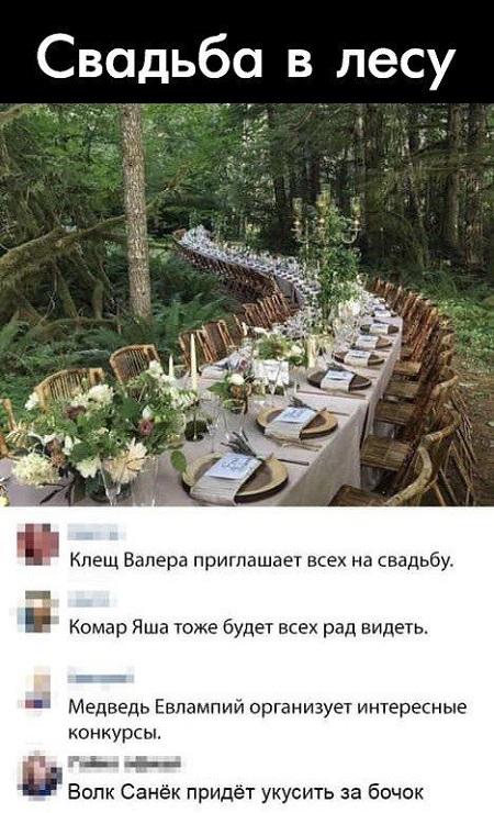 Свежие лучшие прикольные картинки