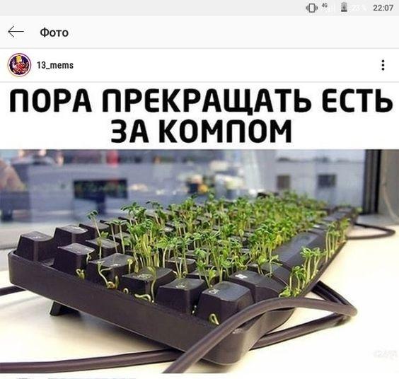 Свежие убойные картинки