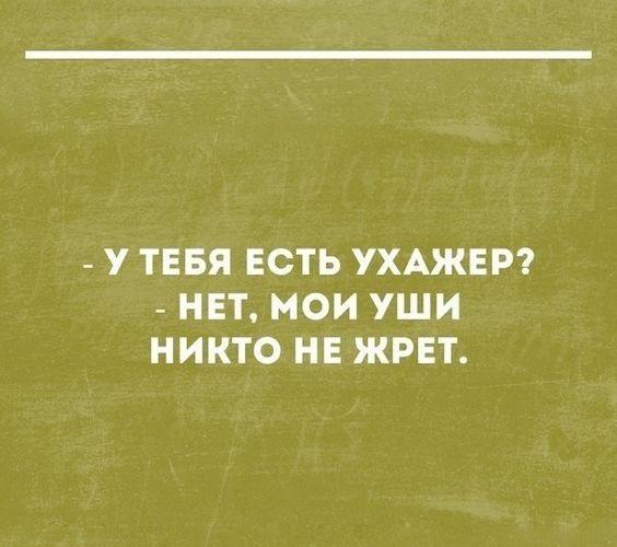 Подробнее о статье Очень смешные свежие шутки (понедельник)