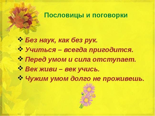 Подробнее о статье Пословицы и поговорки про науку