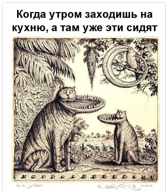 Свежие смешные картинки