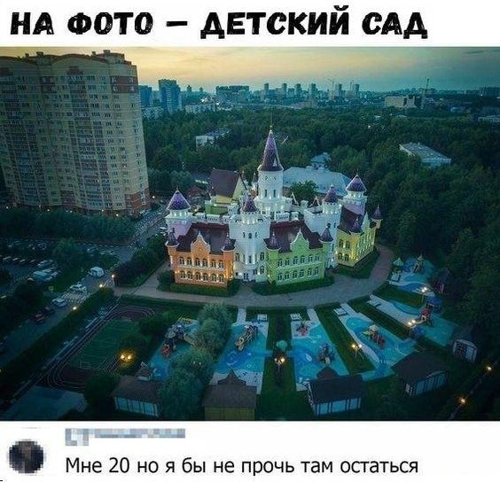 Свежие смешные картинки