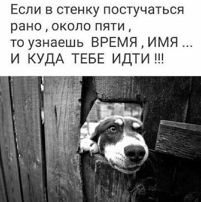 Свежие лучшие клевые картинки