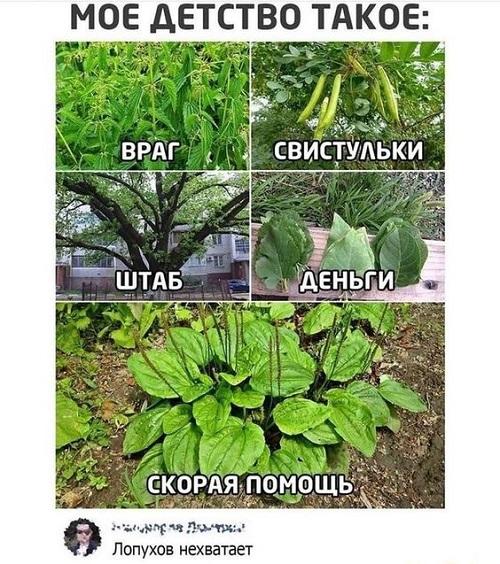 Свежие лучшие веселые картинки