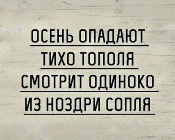 Смотреть смешные до слез картинки с шутками