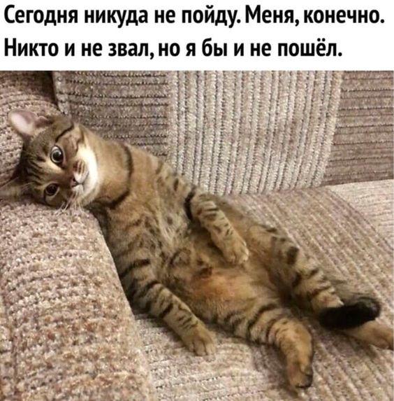 Забавные свежие мемы (суббота)