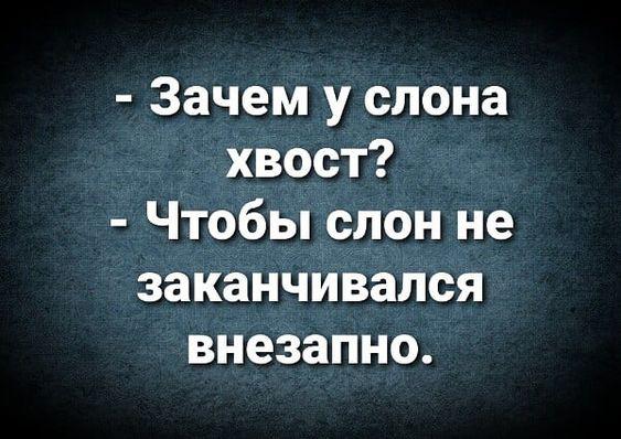 Подробнее о статье Ржачные до слез свежие шутки (пятница)