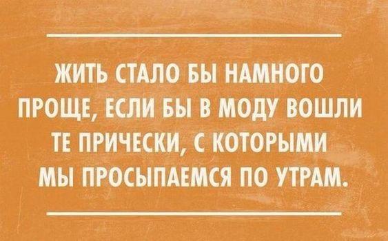 Подробнее о статье Ржачные до слез свежие шутки (вторник)