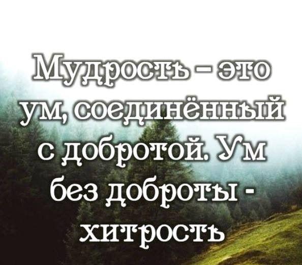 цитаты обо всем на картинках