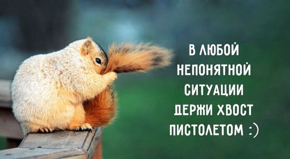 Свежие хорошие улетные картинки