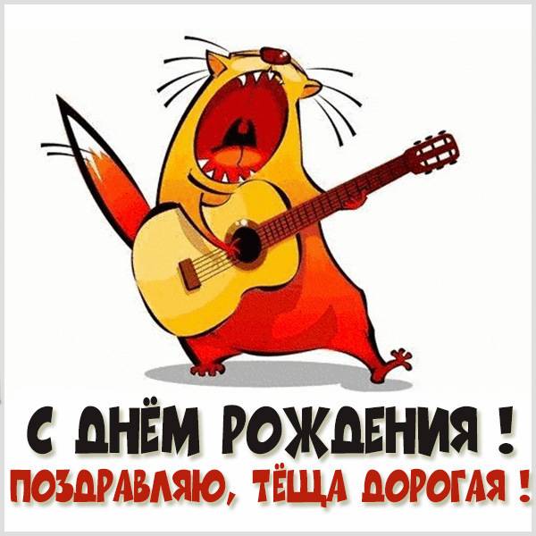 Прикольные поздравления с днем рождения теще в прозе 💐 – бесплатные пожелания на Pozdravim