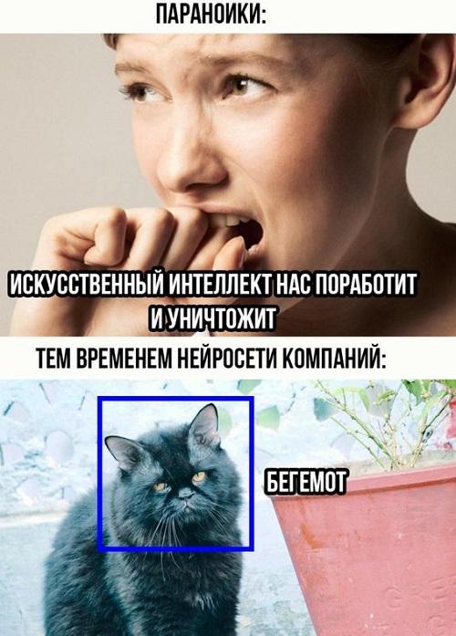 Хорошие свежие мемы (пятница)