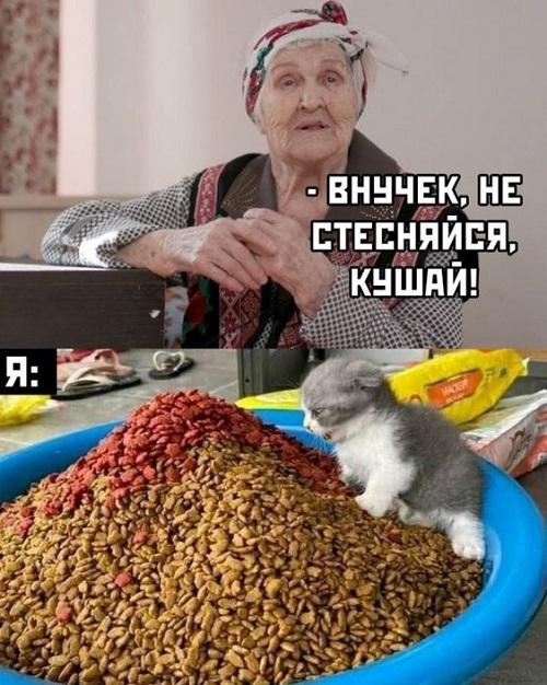 Классные свежие мемы (среда)