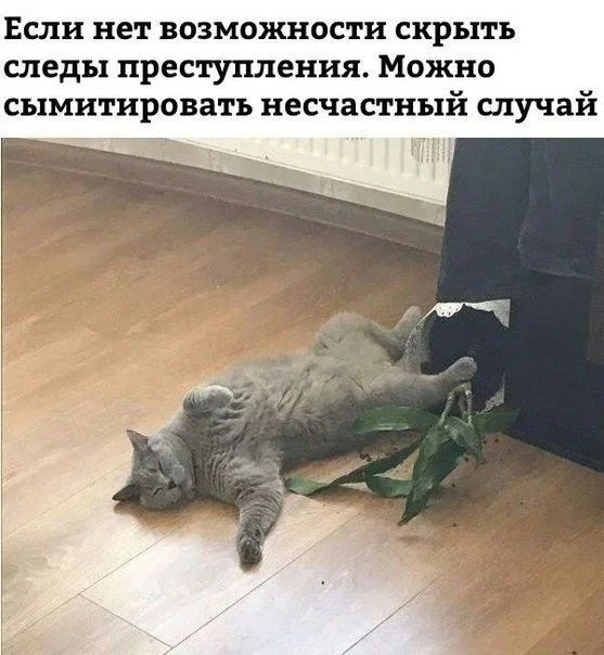 Классные свежие мемы (четверг)