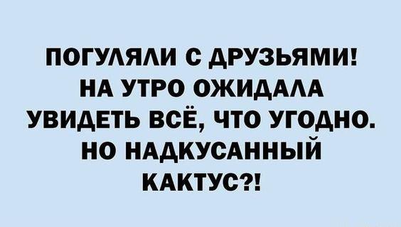 Подробнее о статье Классные свежие шутки (вторник)