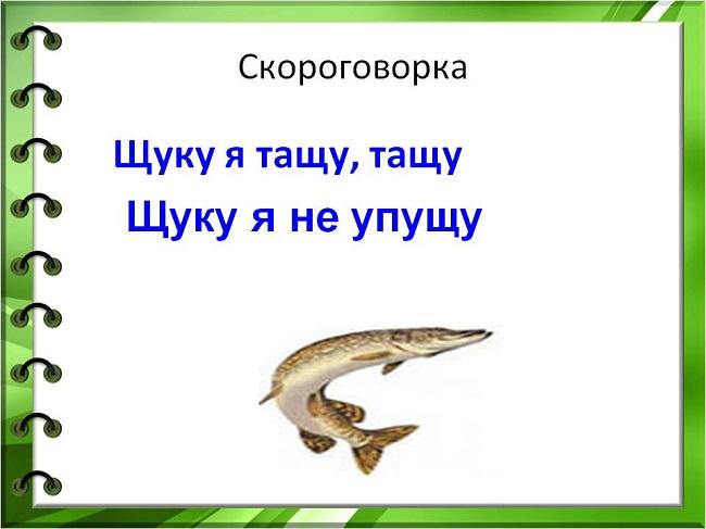 Скороговорки с рисунками для 1 класса проект с шипящими буквами