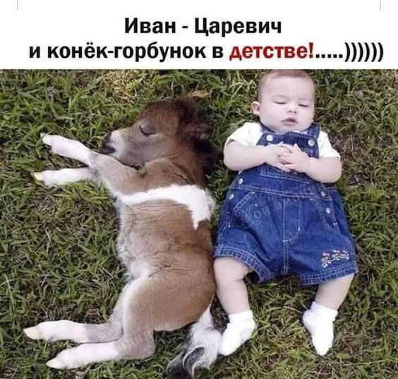 Клевые свежие мемы (среда)