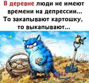 Клевые свежие мемы (пятница)