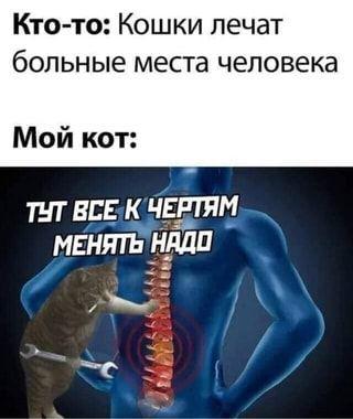 Смотреть свежие мемы (среда)