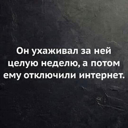 Подробнее о статье Веселые статусы про любовь для ВК