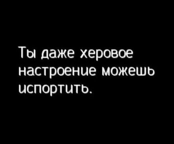 Подробнее о статье Убойные свежие шутки (пятница)